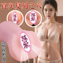 ������ģ�w�C���������z����������ε�ģ��ο����ȤƷ���l���l