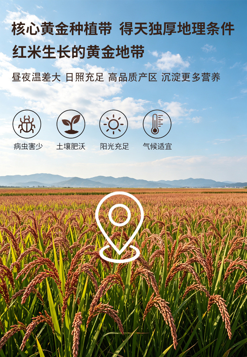 Cooked Red Rice Powder Hong Mi Fen Instant Herbal Grain Powder Drink Mix Bulk 500g preparation