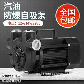 汽油加注机防爆12V24V220V车载大流量抽油泵自吸泵流量表甲醇乙醇