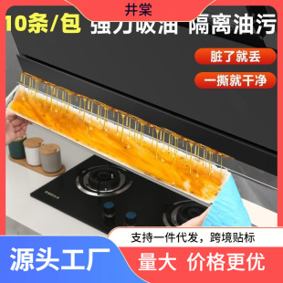 Range Hood Oil Absorbing Cotton Kitchen Household Oil Pin Thickened Filter Paper Oil-proof Anti-leakage Oil Absorbing Cotton Strip Universal