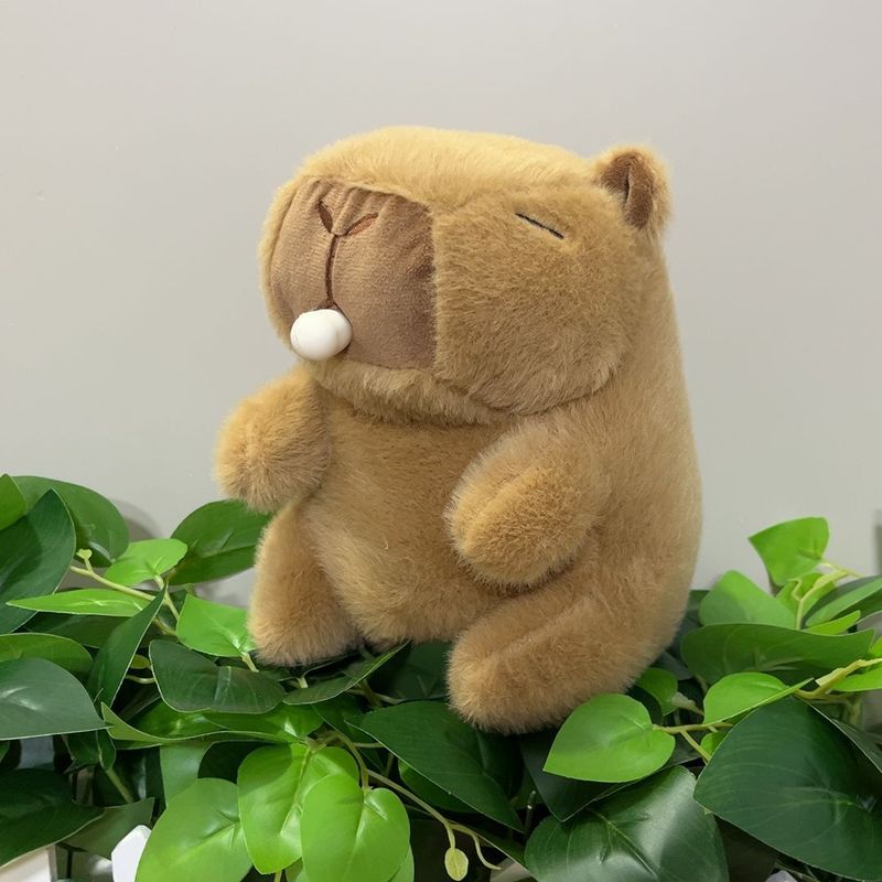 流量款八寸抓机公仔娃娃机娃娃婚庆抛洒玩礼物偶毛绒玩具厂家批发|undefined