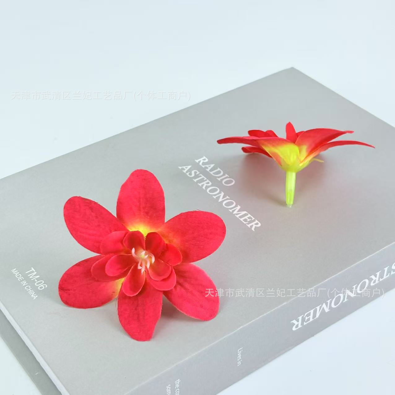 Orquídea de simulación cabeza de comida plato flor de corona de novia flor de pecho flor de muñeca hacer caja de regalo flor de ópera flor de pinza
