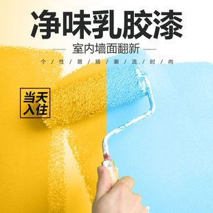 Latex Paint White Interior Wall Paint Wall Interior Household Color Wall Paint Paint Self-Brushing Paint Bucket Wall Paint