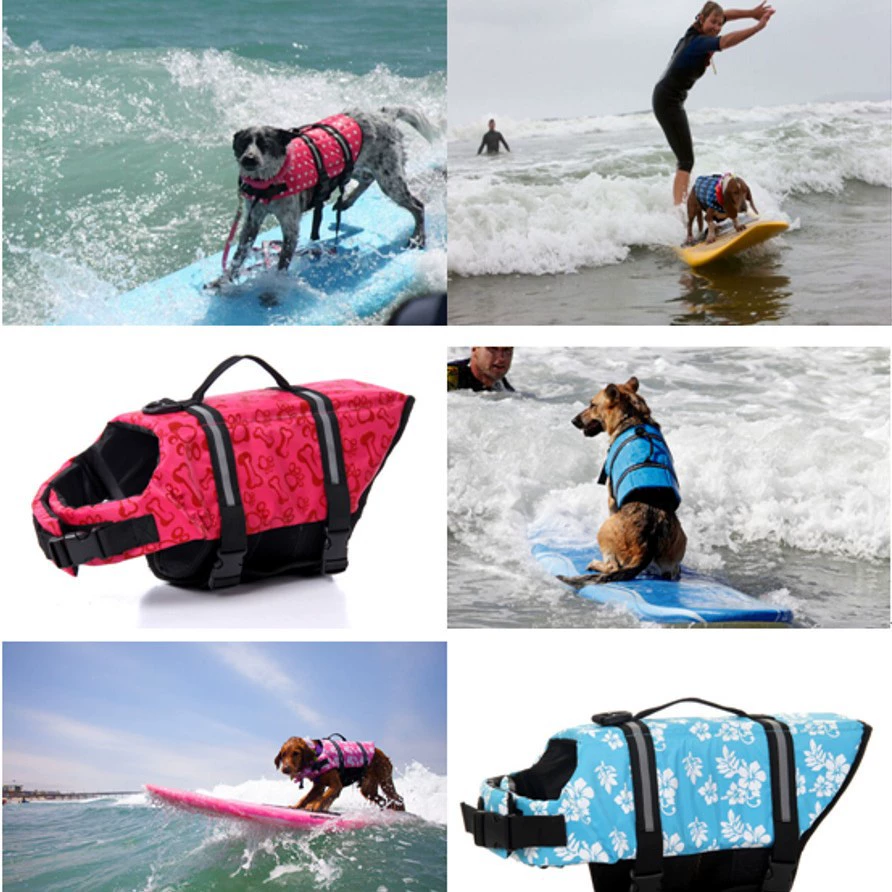 Спасательный жилет для собак