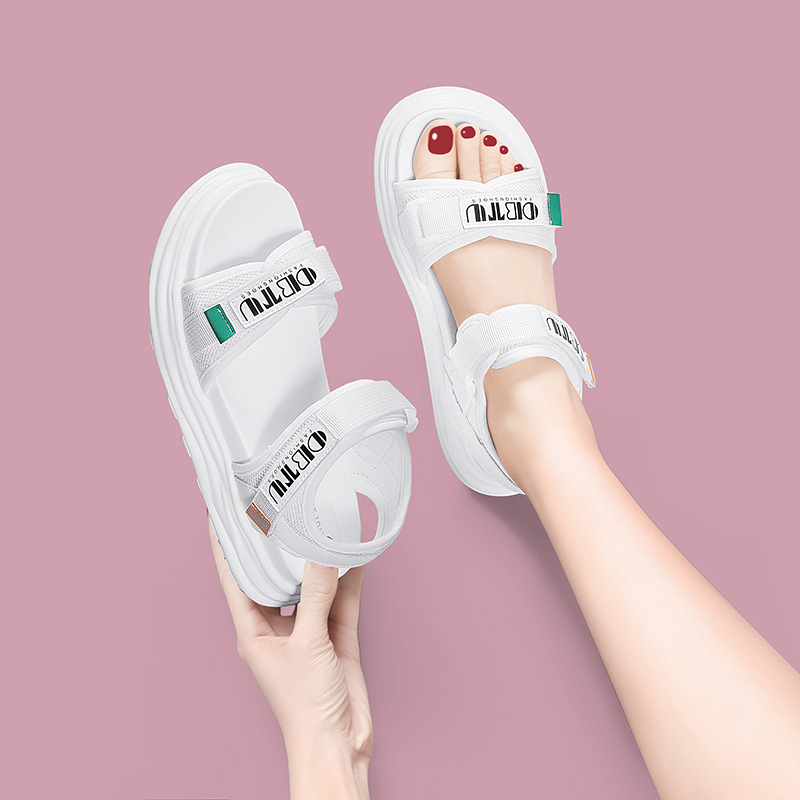 ML màu trắng 2206