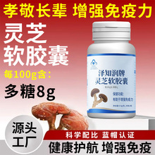 泽知润牌灵芝软胶囊批发 厂家蓝帽保健食品中老年灵芝软胶囊定制