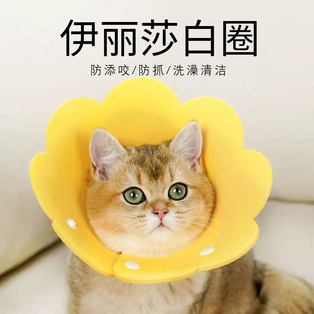 亚马逊伊丽莎白圈美容罩宠物防咬圈防抓挠脖圈宠物猫咪美容圈批发
