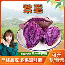 【严选】广东紫薯 代发3斤紫心薯地瓜蜜薯新鲜蔬菜非紫罗兰蜜薯