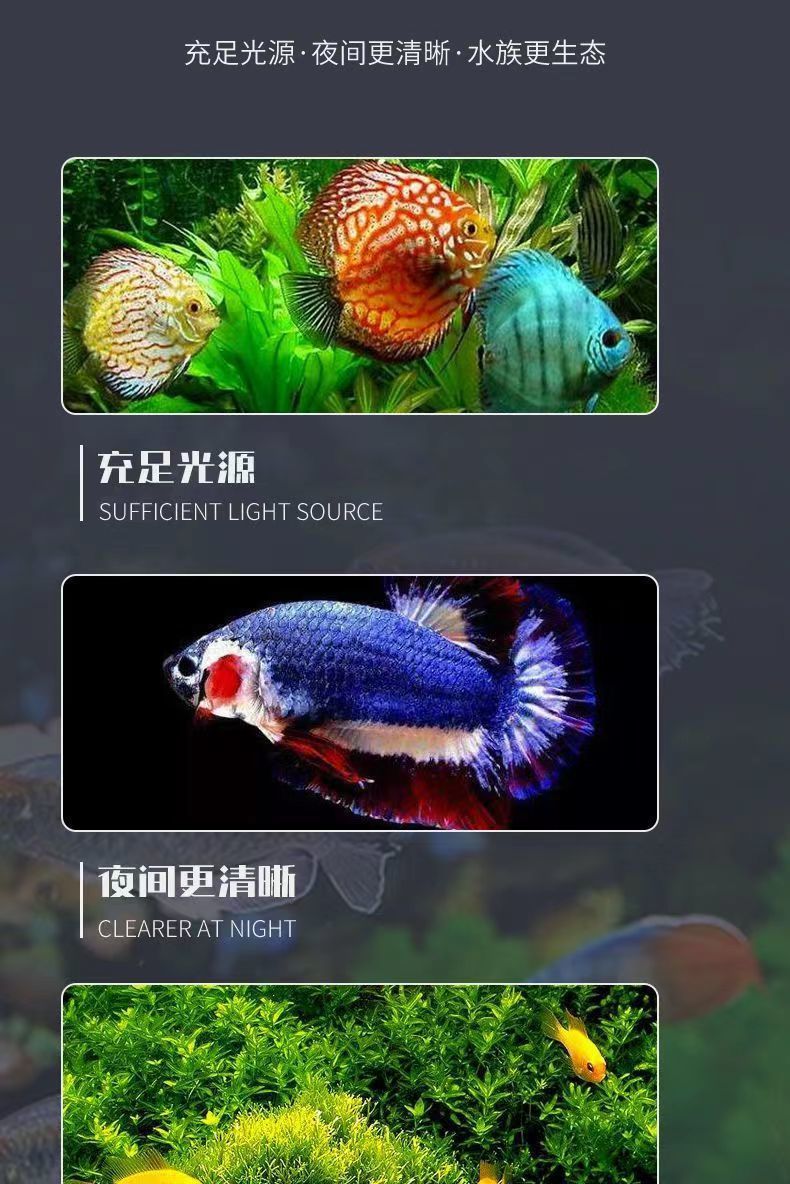 891a9fcd-8f7f-49f5-a4e4-8dfddca4b1b6.jpe