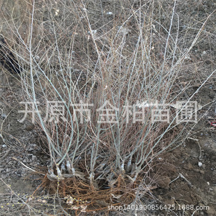 ���l�|���ؽӽ��~�ܾG����ľ���~���������綬�������~�ܘ���