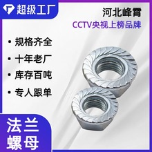 法兰螺母母六角带纹螺帽镀锌面碳钢全螺纹母防松国标A级品