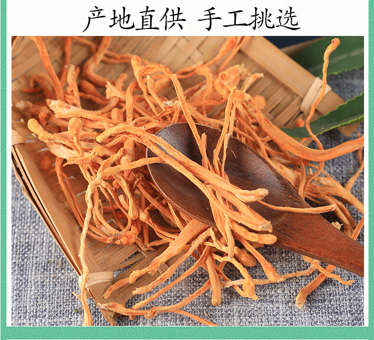 Dried Cordyceps Flower 500g North Cordyceps Militaris Fruiting Body for Soup and Tea specifications
