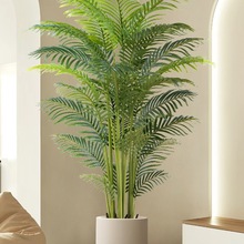 GֲpɢβԼٻ҃ȿ͏dֲb[