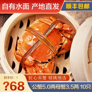 【活蟹】苏州精品大闸蟹鲜活螃蟹产地直发大闸蟹礼盒中秋团圆团购