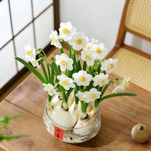 ����ˮ�ɻ�ˮ���_��ֲ��������ͺ��҃ȿ͏d�Gֲ������������