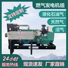 工場直送 200kw ガス発電機セット パラレル接続 コンテナ型発電機 ブランド発電機