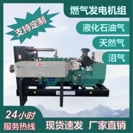 燃气发电机组;柴油发电机组;服务商品