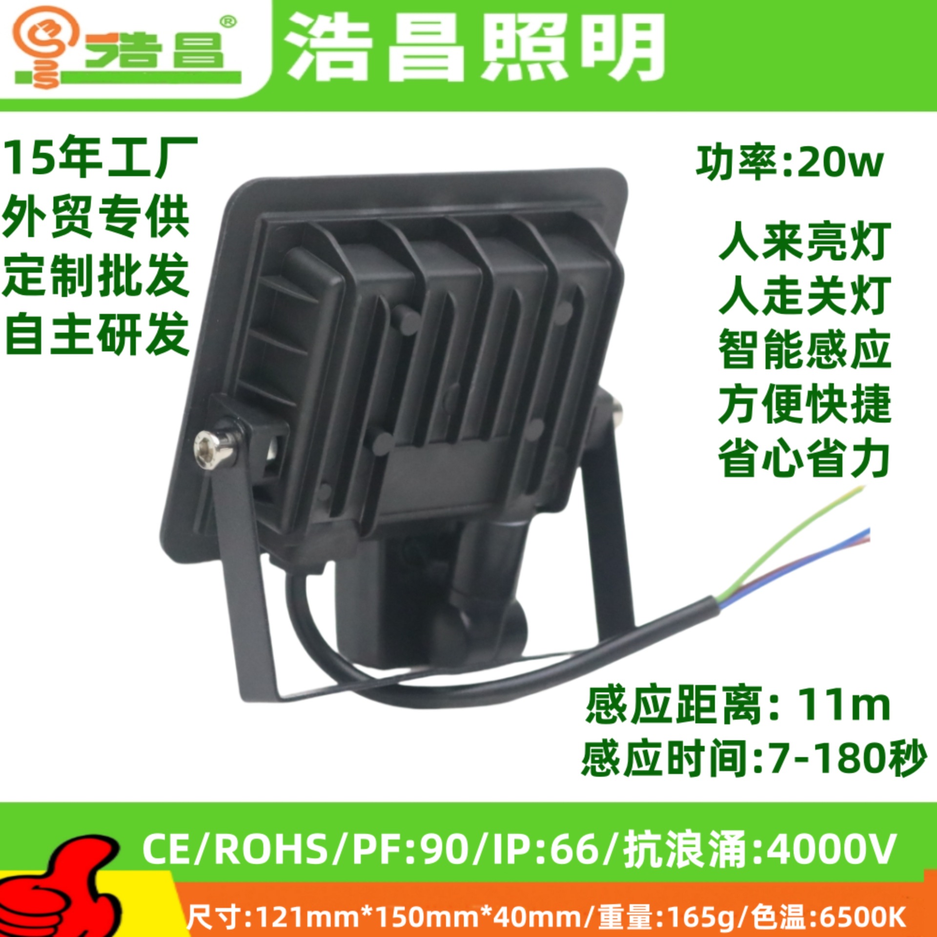 苹果 感应款 20W-2.jpg