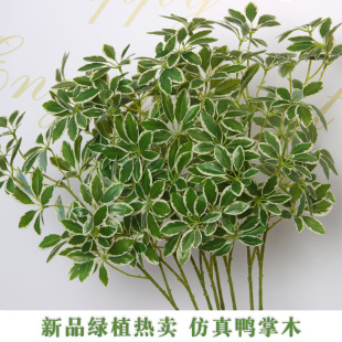 ��������ľɭϵ�Gֲ��c���滨��Y��̨�����쾰�bҾӔ[����ˇ