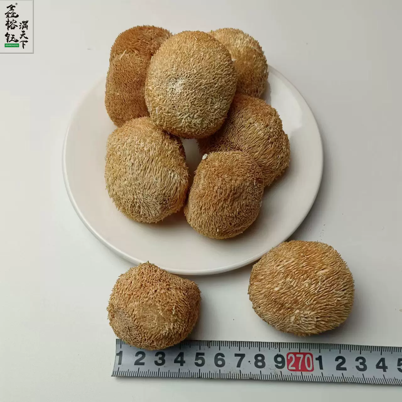 鑫榕钰   猴头菇批发干货3到5公分规格生产加工基地直供500克