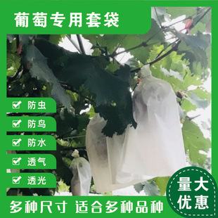 �o���������״����x���B����ˮ�����ô�¶��Ϲ�͸�����o���K�F؛