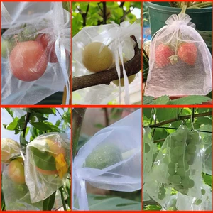 Сумки для фруктов, мешки с сети насекомых Клубничные фрукты, фрукты, виноград, защита от пропускания пакетов.