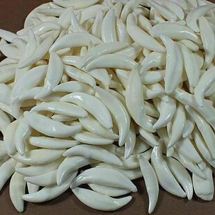 �ڹ����������� ��� �Ǿ����|���������� �湷����ʿ��H�Ʒ