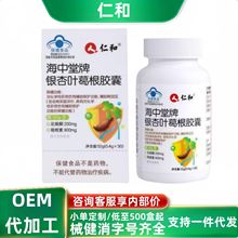 海中堂牌银杏叶葛根胶囊正品 仁.和现货分销代发批发厂家直销官方