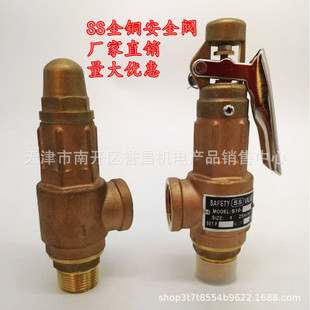̨��SS��ȫ�y ���{ʽй���y ˮ�������y S10��̖DN15-DN50