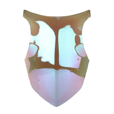 2011-2016 Motorcycle Modified | Motorcycle front windshield - 06040010-light-color