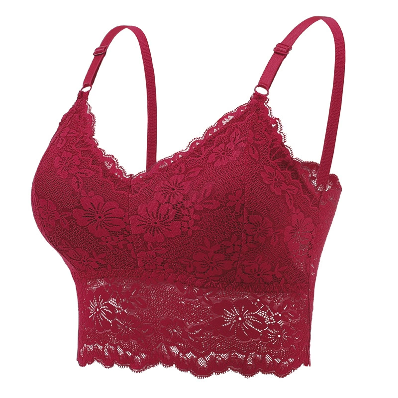 Lace bra, top with cups, underwear, (Cross-border trading), plus size, beautiful back, European style, wholesale