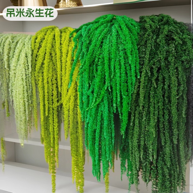 Hanging rice dried flowers eternal flowers Hanging Meisoris wedding decoration lover tears Hanging flowers factory wholesale Hanging rice