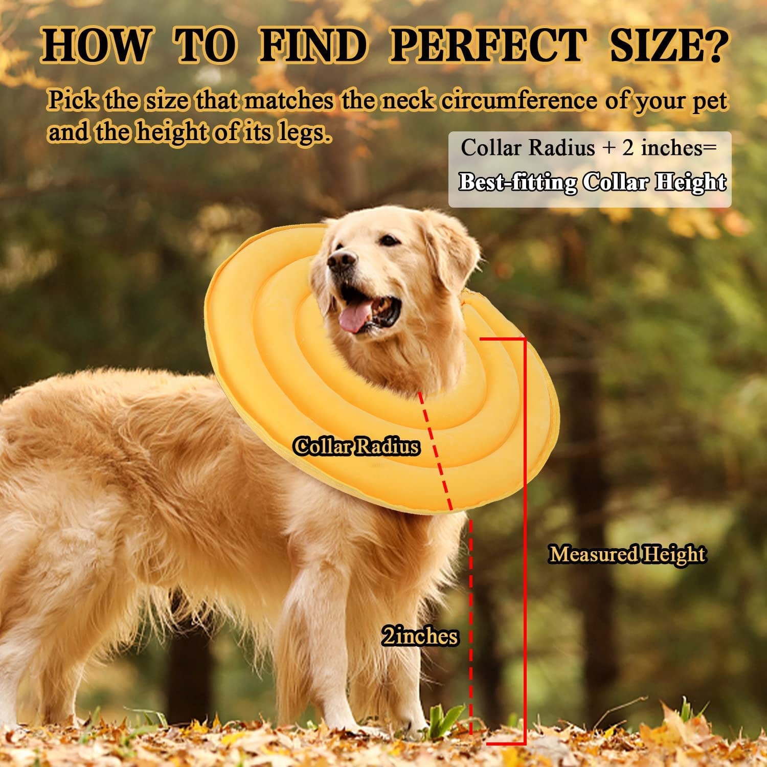 O1CN01VPc61P1PuFHKULiAI_!!2533