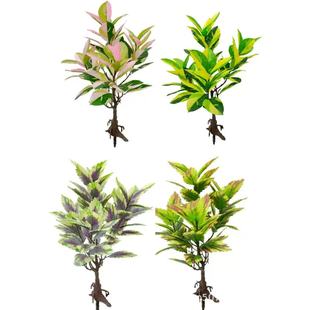 ����GֲС�����Կ͏d�[�����滨�߲���노߶�ֲ�������