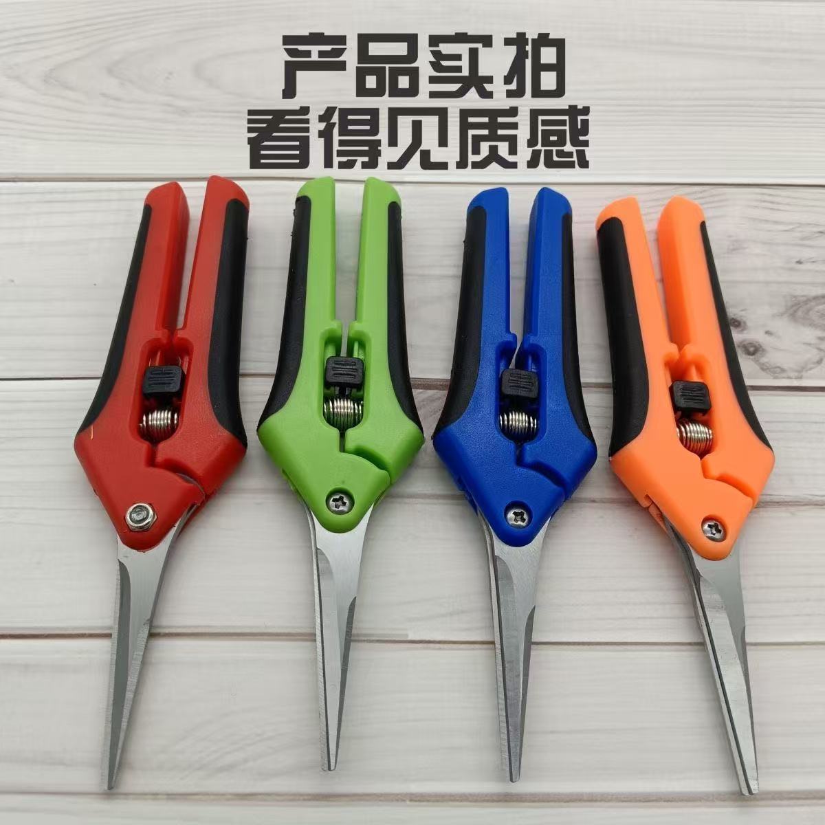 新款花枝剪不锈钢尖嘴花卉园林剪果树修剪神器嫁接专业葡萄蔬果剪