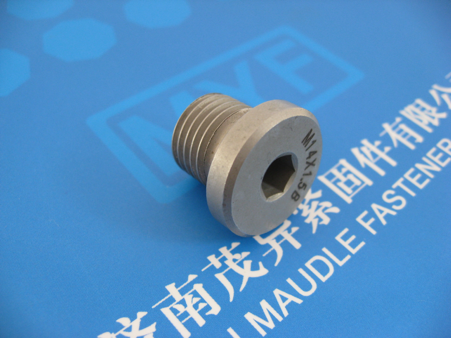 内六角圆柱头螺塞DIN908 (5)