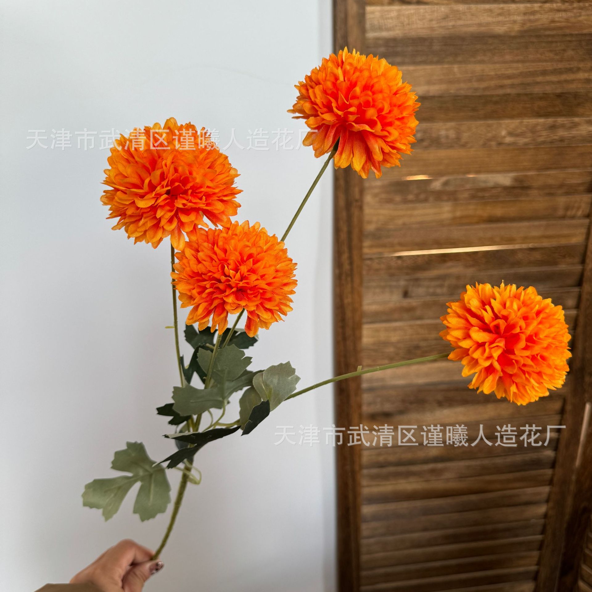 4 đầu hoa cúc