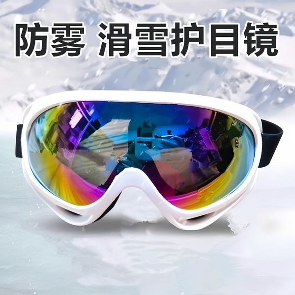 ski glasses for men and women for adults