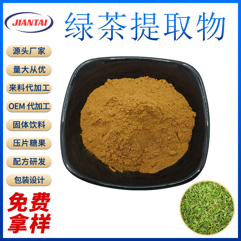 绿茶提取物10:1 茶多酚  提取水溶粉末 绿茶粉 厂家 量大从优