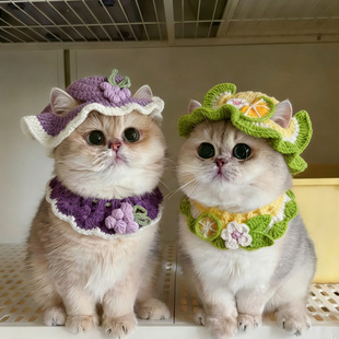 �羳���Ռ��ﻨ��ñ�Ӈ������b؈�乷�������۷��^��^�׿�ˮ���