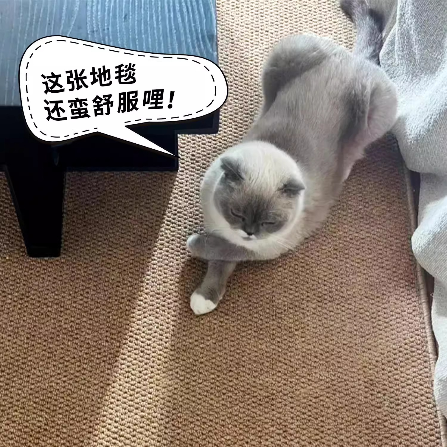 순수한 색상 심플한 모조 사이잘 카펫 거실 고양이 긁힘 방지 개 물림 방지 커피 테이블 매트 침실 관리가 쉬운 침대 옆 담요를 대신하여 보낼 수 있습니다.