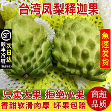 ̨����Ŀ�P����ȹ�5�� ���r����֦���^��ˮ������ЋD10��S�Y��