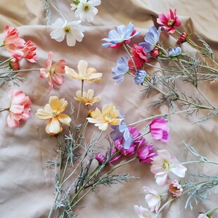 ��˹�շ��滨6�^ֲ�qɣ�񻨽����ٻ��Ҿӿ͏d�b[��������˹��