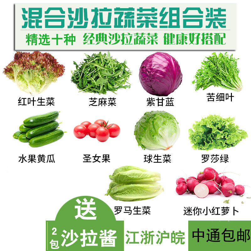 3斤10个品种组合 新鲜蔬菜沙拉混合10种蔬菜健身套餐基地直发批发|ms