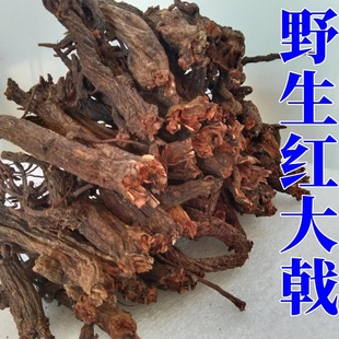 �t���Ұɽ�tѿ�����؛��؛