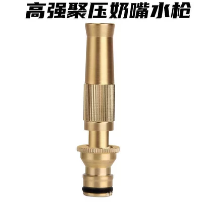 Free Shipping Alloy Straight Water Spray Gun Household Car Washing Water Flowers and Vegetables Washing Courtyard Anti-freeze Explosion-proof Portable Water Gun (High pressure car wash water gun) - 1-pacifier-direct-spray-water-gun