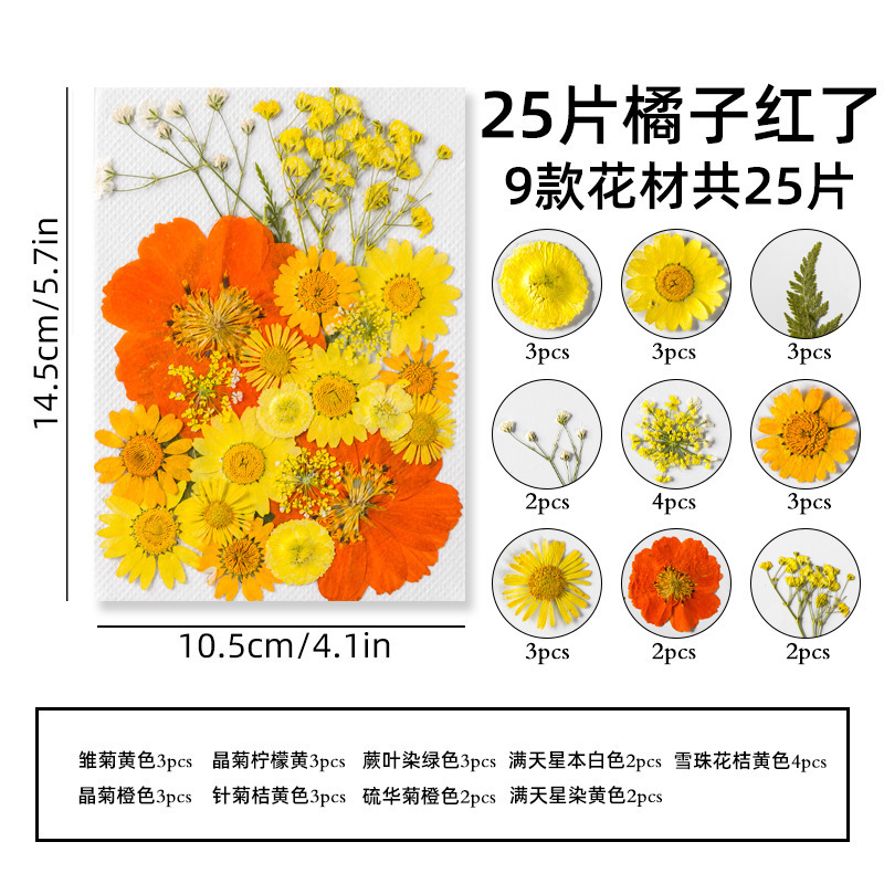 Marcapáginas de flores secas, material artesanal hecho a mano, colección infantil de otoño, libro en la botella, espécimen de hoja transparente, película de sellado de plástico