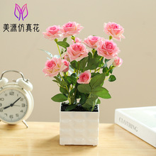 �ٻ�����õ�廨�辰����컨��������װ��Ʒ�ڼ�������������