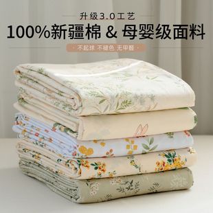 Soft Pure Cotton Bed Sheet Single Piece Dormitory Class A Maternal and Infant Class Household Double Quilt Pillowcase Three-Piece Set All Seasons Universal