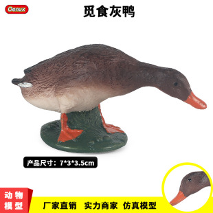 �����o�B������ģ�̓�ͯ�J֪������߼���Ұ���������G�^���[��